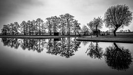 Boskoop van Ron Petterson