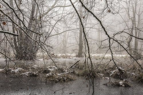 Een grootschalig natuurmonument bij Stockach op een winterse dag met mist en rijp