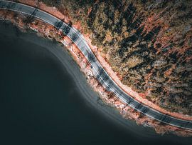 Bij het meer met bos