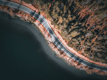 Au bord d'un lac avec une forêt sur Mustafa Kurnaz