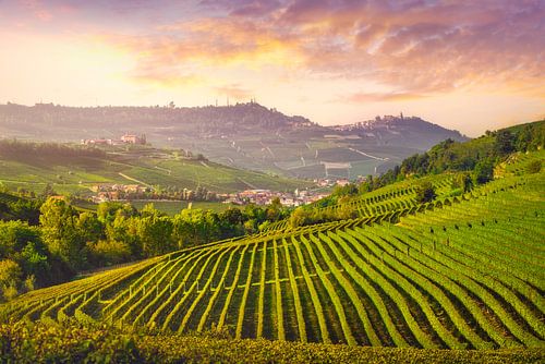 Langhe wijngaarden landschap bij Barolo