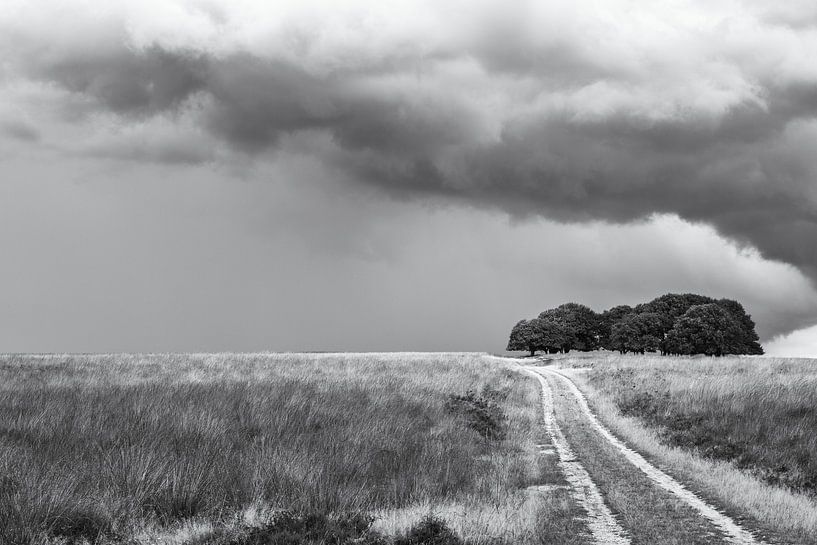 Weg naar duisternis van Thomas van Galen