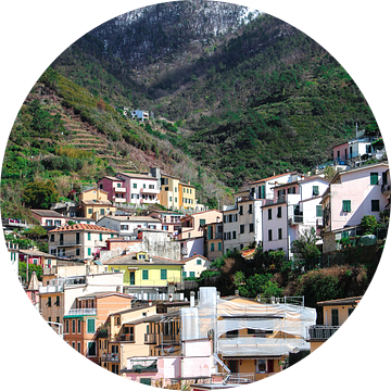 Mooi uitzicht in Riomaggiore, Cinque Terre, Italië van Shania Lam