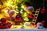 Ein humorvoller Blick von den Fubby's auf die Weihnachtsdekoration.