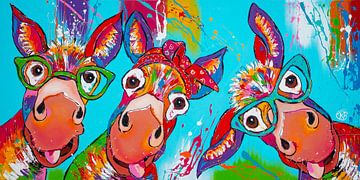 Des ânes fous avec des lunettes sur Happy Paintings