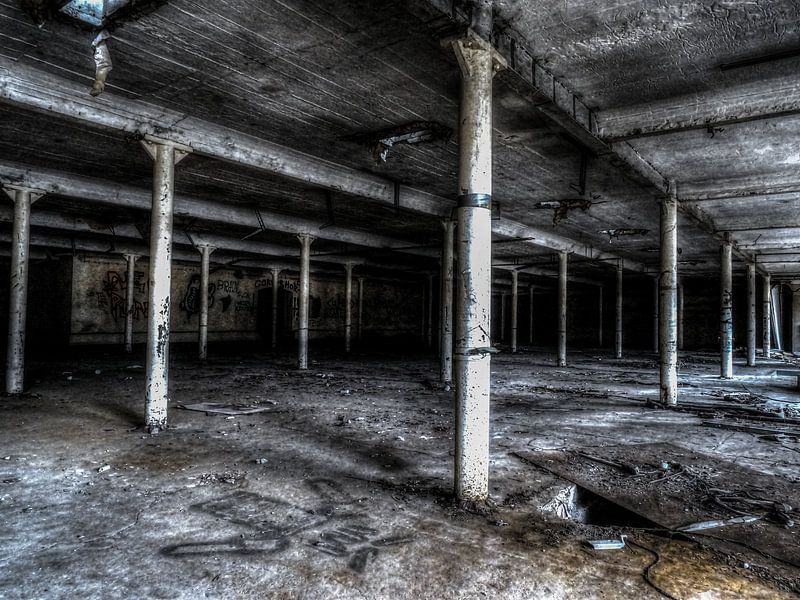 Abandoned factory Germany HDR by Natasja Martijn