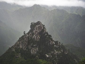 Anagagebergte Tenerife - Berg in de mist van Aurica Voss