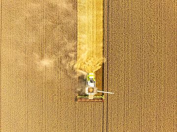 Combaine oogst tarwe in de zomer van bovenaf gezien van Sjoerd van der Wal Fotografie