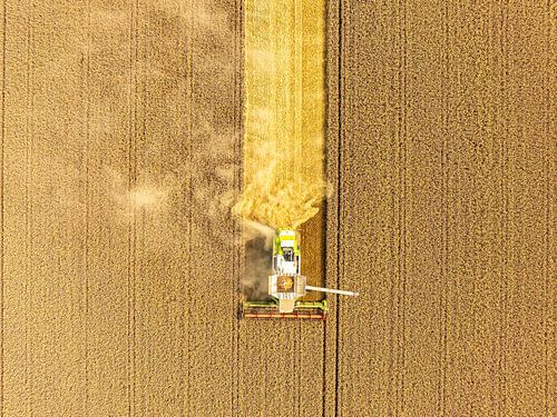 Combaine oogst tarwe in de zomer van bovenaf gezien
