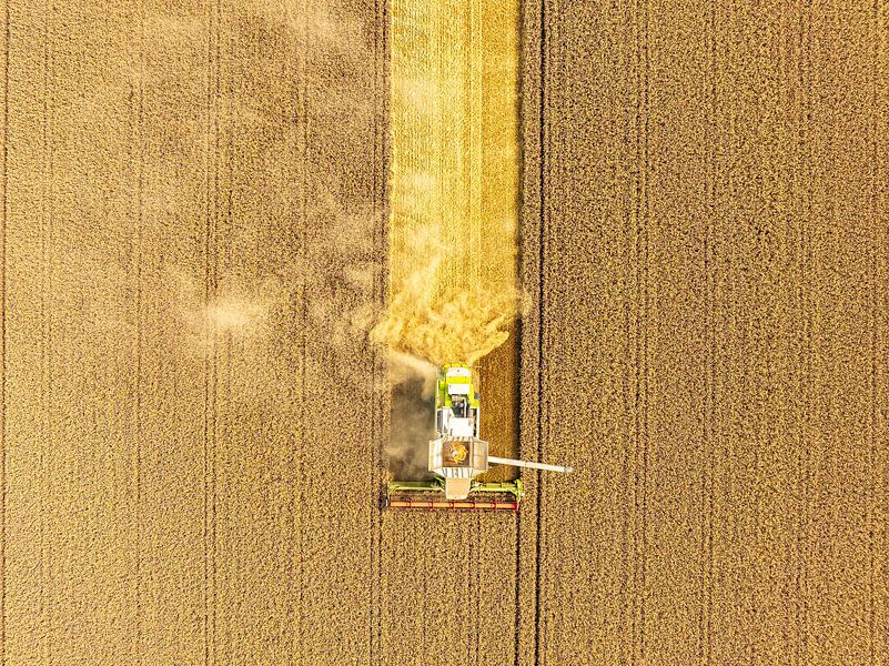 Combaine oogst tarwe in de zomer van bovenaf gezien van Sjoerd van der Wal Fotografie