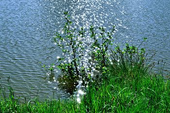 Tanzende Sonnenstrahlen