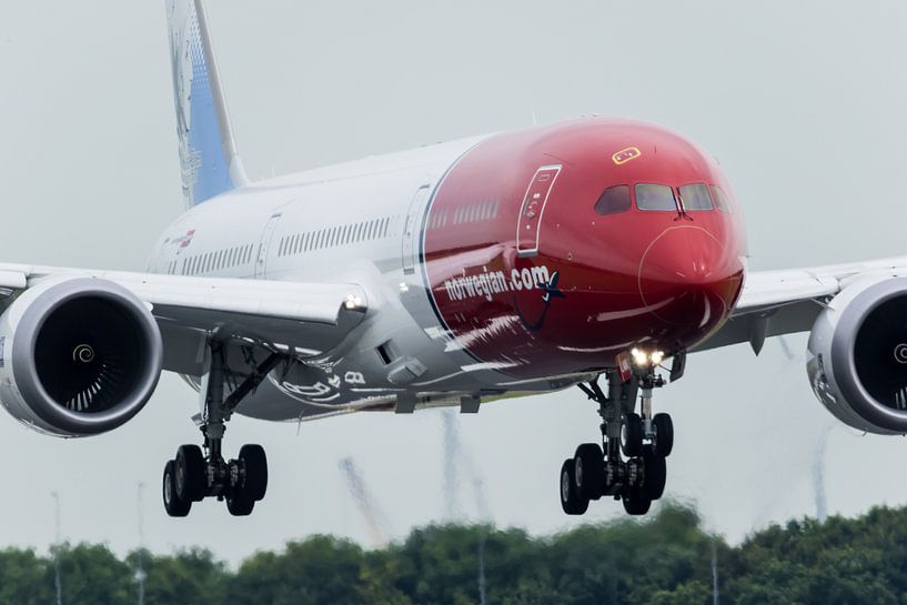 Norwegian by Nildo Scoop