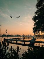 Fin de soirée à Kralingse Plas