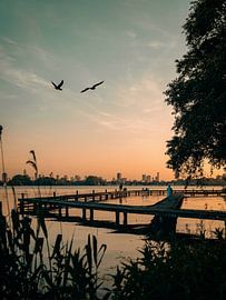 Ein später Abend auf Kralingse Plas von Jelte Lagendijk