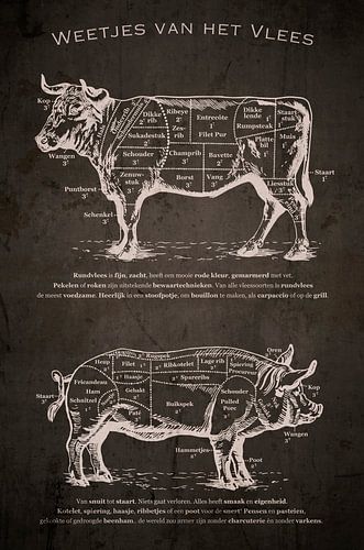 Wissenswertes über Fleisch