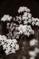 Bloemen in retrostijl