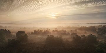 Mistige zonsopgang in Nederland panorama van Martin Podt