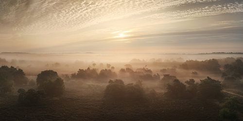Mistige zonsopgang in Nederland panorama