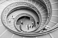 Double spiral staircase in the Vatican Museums by Lars-Olof Nilsson thumbnail