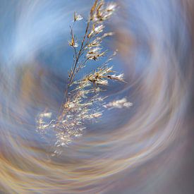 Kunst van de Natuur van Yanuschka | Fotografie Noordwijk