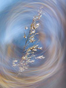L'art de la nature