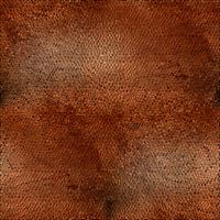 Copper gold "skin"