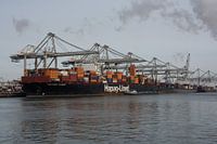 Containerschiffe beim Be- und Entladen von Containern auf der Maasvlakte.