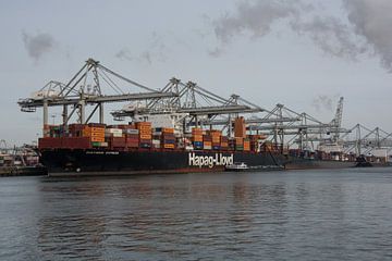 Containerschiffe beim Be- und Entladen von Containern auf der Maasvlakte. von scheepskijkerhavenfotografie