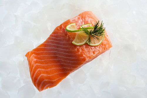 Moot rauwe zalm op ijs gepresenteerd