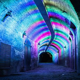 illuminated tunnel goose market Utrecht by Ilya Korzelius