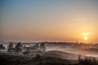 Landschap Zeepeduinen