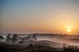 Landscape Soapdunes by David Lawalata