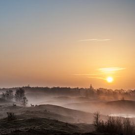 Landschap Zeepeduinen van David Lawalata