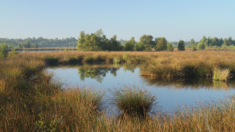 Engbertsdijksvenen 8 by Joop de Lange