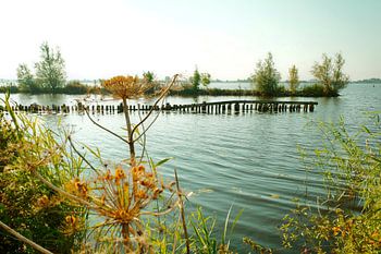 Zomers uitzicht over het Schildmeer vanaf natuurgebied Tetjehorn