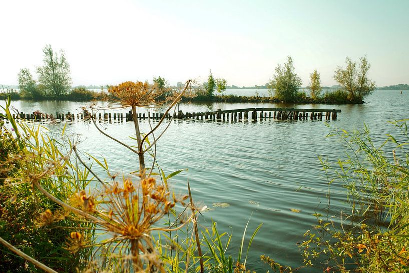 Vues estivales du lac du Bouclier depuis la réserve naturelle de Tetjehorn par Jurjen Melinga