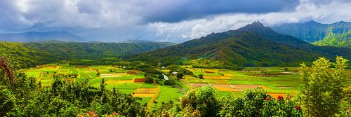 Panorama Hanalei Valley, Kauai, Hawaii