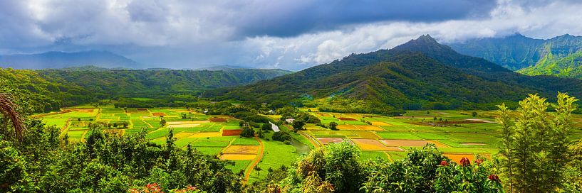 Panorama Vallée de Hanalei, Kauai, Hawaii par Henk Meijer Photography