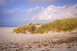 Grassy dunes von Alessia Peviani