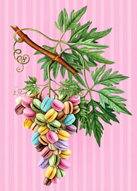 How Macarons Grow van J.O. Han