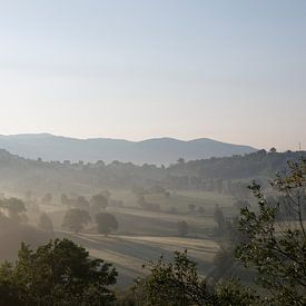 Bezauberndes Tal im Morgenlicht, Sabina, Italien von Margot van den Berg