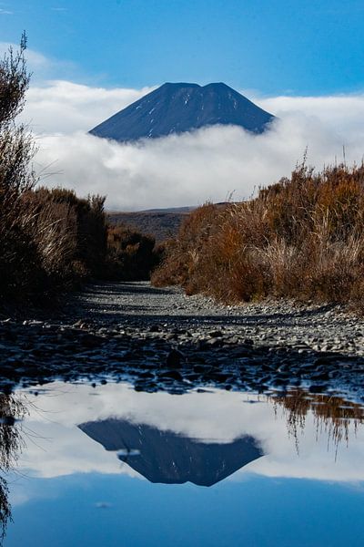 Tongariro national park, reflection volcano Ngauruhoe, New Zealand by Nynke Altenburg