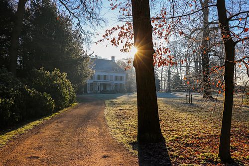 Zonlicht schijnt in de lens op Landgoed nieuw Amelisweerd