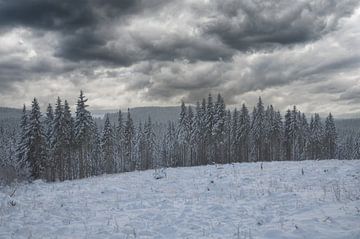 Winterlandschap in het Harz Nationaal Park van Peter Eckert
