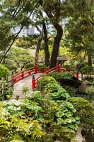 Japanse brug