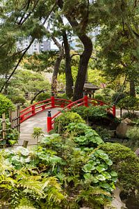 Japanse brug von Schram Fotografie