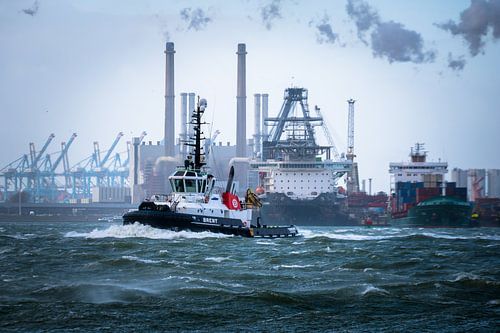 Tug VB Brent in the port of Rotterdam