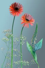 Compilatie_bloemen by Marije Engelsman