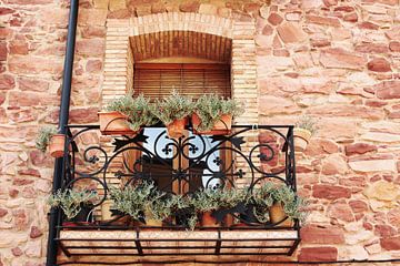 Balkon met vetplanten van Inge Hogenbijl