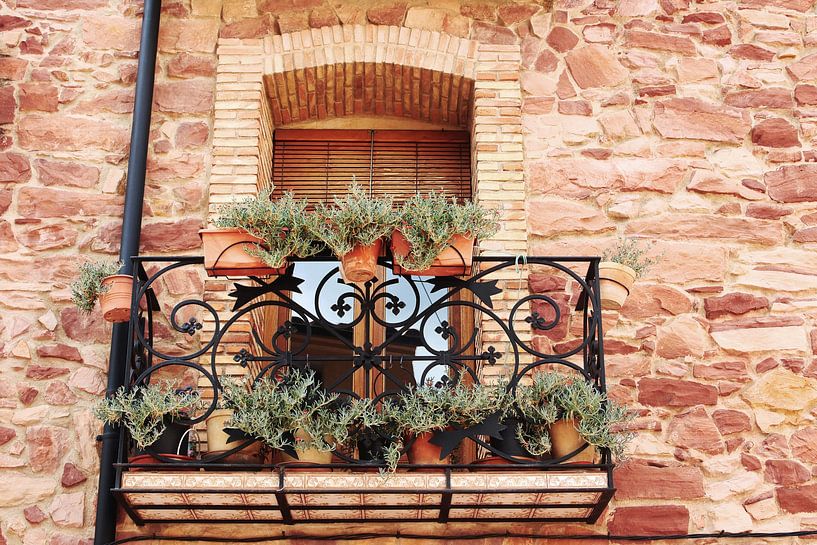 Balcon avec plantes grasses par Inge Hogenbijl
